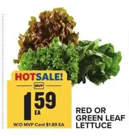 Food Lion Red or Green Leaf Lettuce offer
