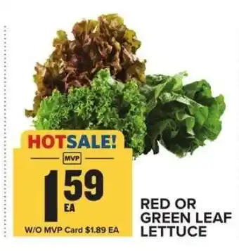 Food Lion Red or Green Leaf Lettuce offer