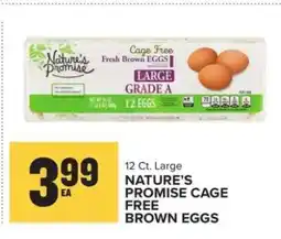 Food Lion Nature's Promise Cage Free Brown Eggs offer