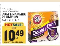 Food Lion Arm & Hammer Clumping Cat Litter offer