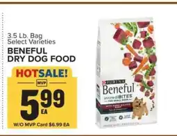 Food Lion Beneful Dry Dog Food offer