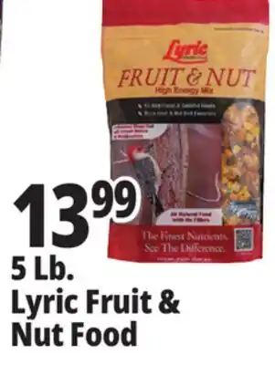 Ocean State Job Lot Lyric Fruit and Nut High Energy Wild Bird Food Mix 5 lbs offer