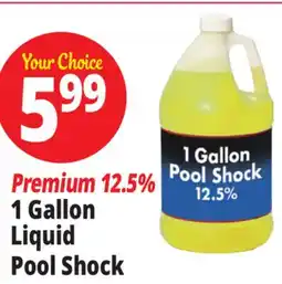 Ocean State Job Lot Liquid Pool Shock 1 Gal offer