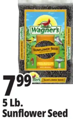 Ocean State Job Lot Wagner's Black Oil Sunflower Seed Wild Bird Food 5 lbs offer