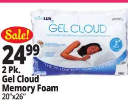Ocean State Job Lot Gel Memory Foam Comfort Pillows 2-Count offer