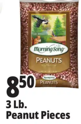 Ocean State Job Lot Morning Song Wildlife Food Peanuts 3 lbs offer