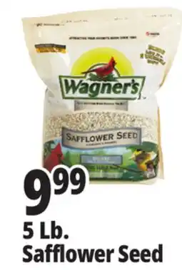 Ocean State Job Lot Wagner's Safflower Seed Deluxe Wild Bird Food offer