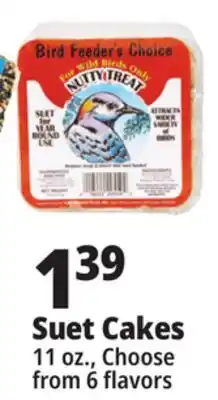Ocean State Job Lot Bird Feeder's Choice High Energy Suet 11 oz offer