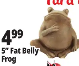 Ocean State Job Lot Fat Belly Frog Garden Statue 5 offer