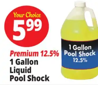 Ocean State Job Lot 1 Gallon Liquid Pool Shock offer