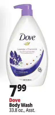 Ocean State Job Lot Dove Body Wash offer