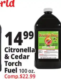Ocean State Job Lot Citronella & Cedar Torch Fuel offer