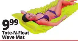 Ocean State Job Lot Intex Tote-n-Float Wave Mat offer