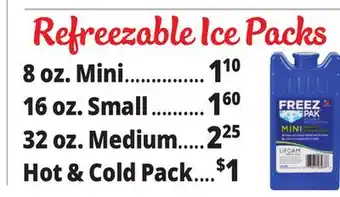 Ocean State Job Lot Freez Pak Reusable Mini Ice Pack offer