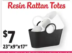 Ocean State Job Lot Resin Rattan Totes offer
