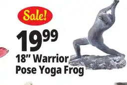 Ocean State Job Lot 18 Warrior Pose Yoga Frog offer