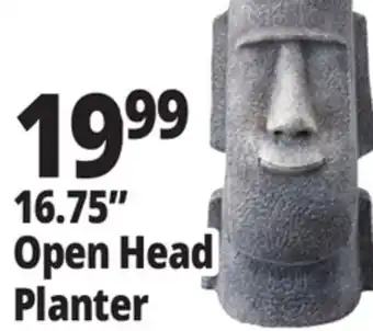 Ocean State Job Lot 16.75 Open Head Planter offer