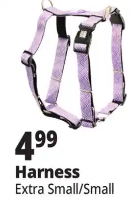 Ocean State Job Lot Extra Small/Small Harness offer