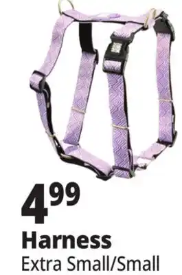 Ocean State Job Lot Extra Small/Small Harness offer