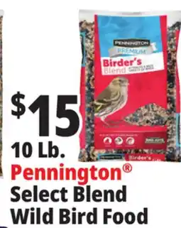 Ocean State Job Lot 10 Lb. Pennington Select Blend Wild Bird Food offer