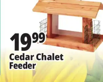 Ocean State Job Lot Cedar Chalet Feeder offer
