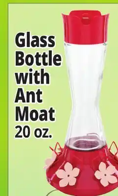 Ocean State Job Lot Glass Bottle with Ant Moat offer