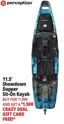 Ocean State Job Lot Perception Showdown 11.5 Fishing Pedal Kayak Sunset offer