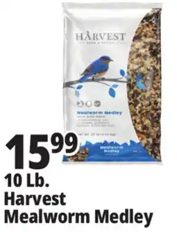 Ocean State Job Lot 10 Lb. Harvest Mealworm Medley offer