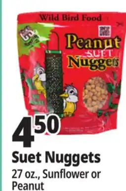 Ocean State Job Lot Suet Nuggets offer