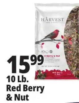Ocean State Job Lot 10 Lb. Red Berry & Nut offer