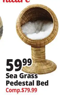 Ocean State Job Lot Sea Grass Pedestal Bed offer