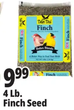 Ocean State Job Lot Better Bird Finch Bird Food 4 lbs offer