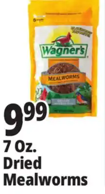 Ocean State Job Lot 7 Oz. Dried Mealworms offer