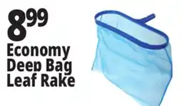 Ocean State Job Lot SwimWorks Economy Deep Bag Leaf Rake offer