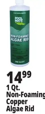 Ocean State Job Lot Pool Mate Non-Foaming Algae Rid 1 Qt offer