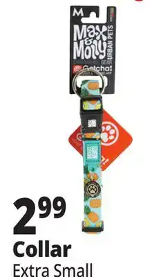 Ocean State Job Lot Collar offer