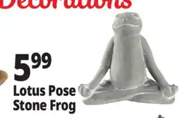 Ocean State Job Lot Stone Frog Statue offer
