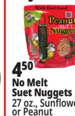 Ocean State Job Lot C&S Sunflower Suet Nuggets offer