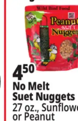 Ocean State Job Lot C&S Sunflower Suet Nuggets offer