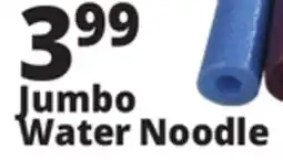 Ocean State Job Lot 55 Jumbo Pool Noodle offer