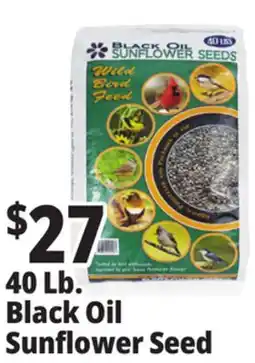Ocean State Job Lot Black Oil Sunflower Seeds 40 lbs offer