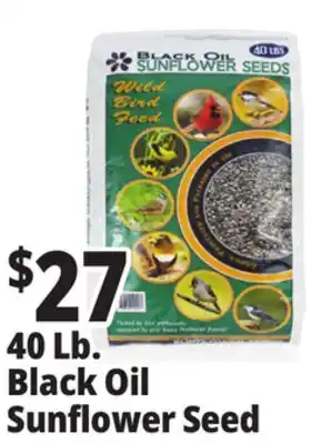 Ocean State Job Lot Black Oil Sunflower Seeds 40 lbs offer
