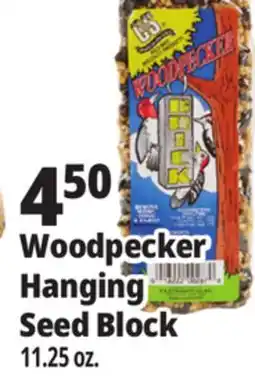 Ocean State Job Lot C&S Woodpecker Brick 11.25 oz offer