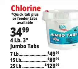 Ocean State Job Lot Jumbo Chlorine Tabs offer