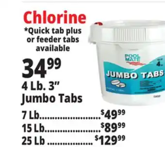Ocean State Job Lot Jumbo Chlorine Tabs offer