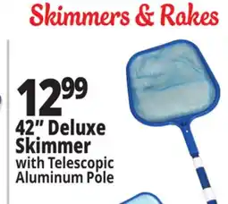 Ocean State Job Lot SwimWorks Leaf Skimmer with Telescopic Pole offer