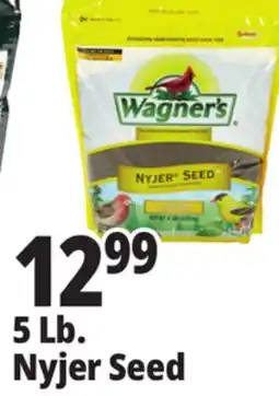 Ocean State Job Lot Wagner's Premium Nyjer Seed 5 lbs offer