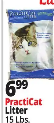 Ocean State Job Lot Premium Scoopable Cat Litter 15 lbs offer