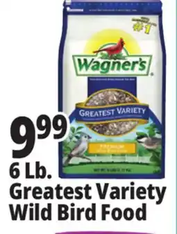 Ocean State Job Lot Wagner's Greatest Variety Deluxe Wild Bird Food 6 lbs offer