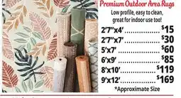 Ocean State Job Lot Premium Indoor/Outdoor Area Rug offer